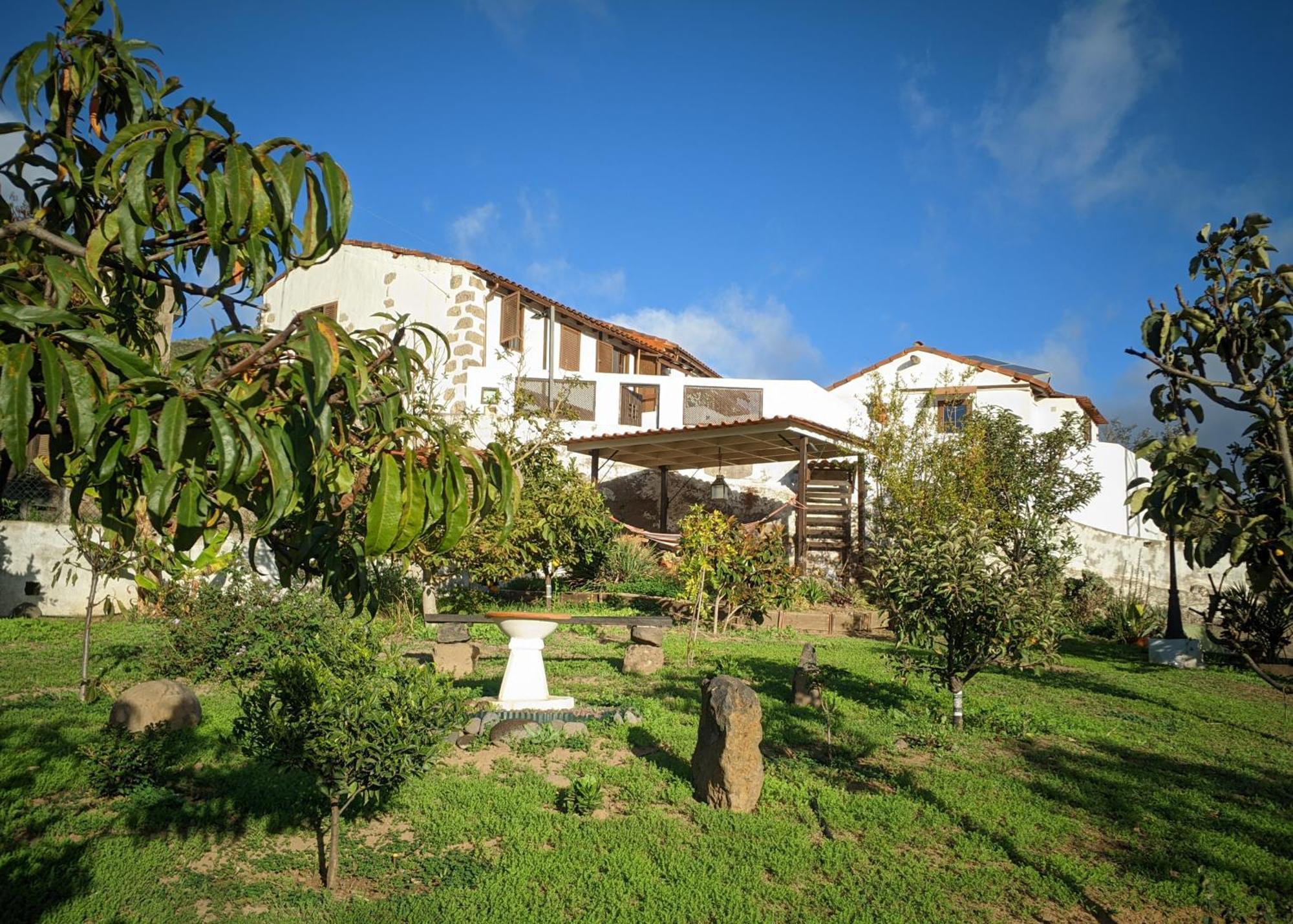 La Bohemia Apartments Teror Εξωτερικό φωτογραφία